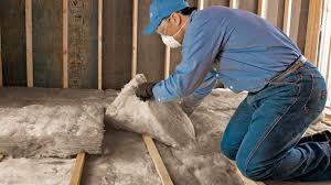 Best Attic Insulation Installation  in Baxter Village, SC